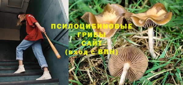 стафф Белокуриха