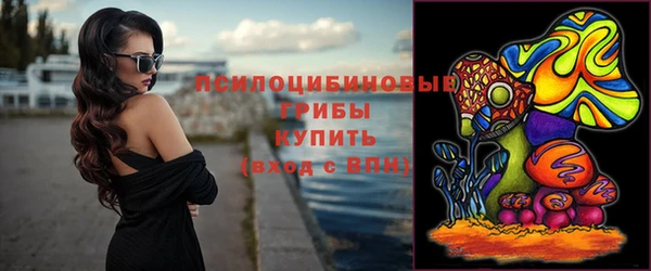 стафф Белокуриха