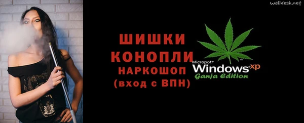 индика Белоозёрский