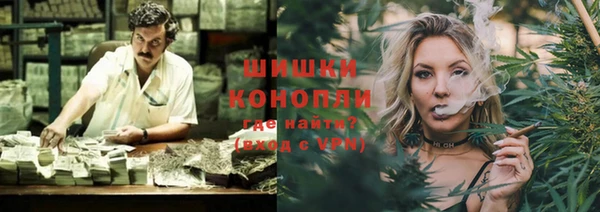 индика Белоозёрский