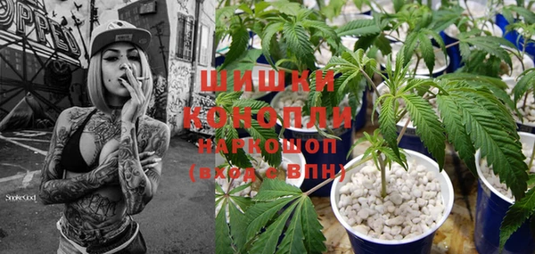 стафф Белокуриха