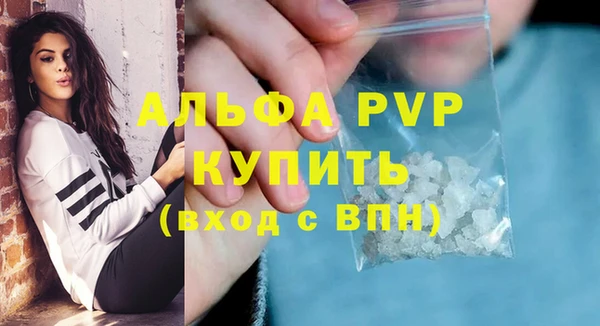 индика Белоозёрский
